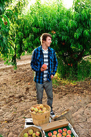 Schnepf Farms