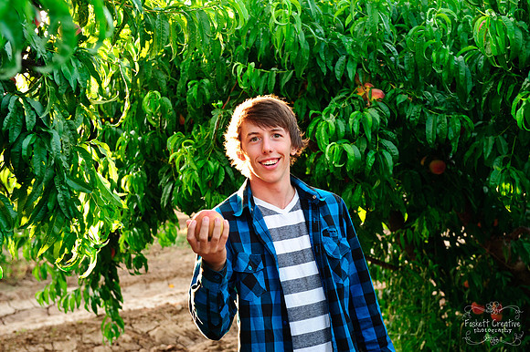 Schnepf Farms