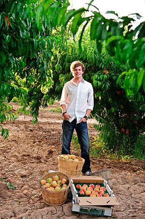 Schnepf Farms