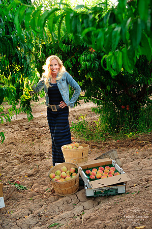 Schnepf Farms