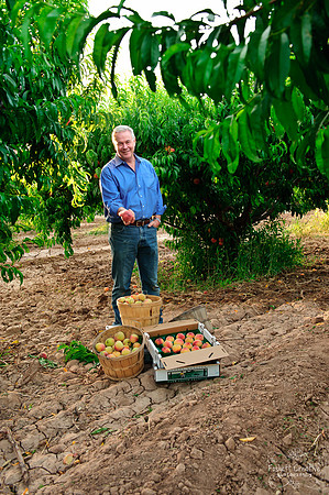 Schnepf Farms