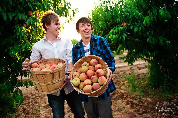 Schnepf Farms