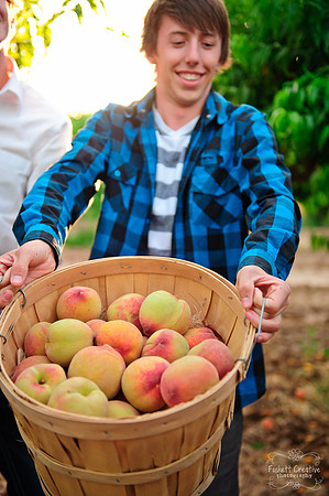 Schnepf Farms