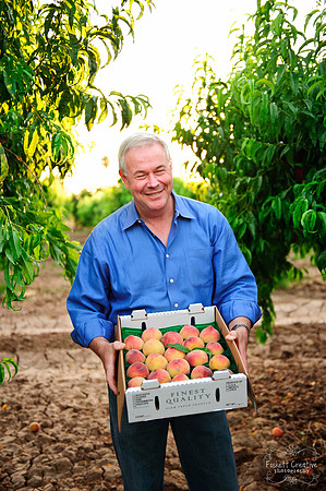 Schnepf Farms