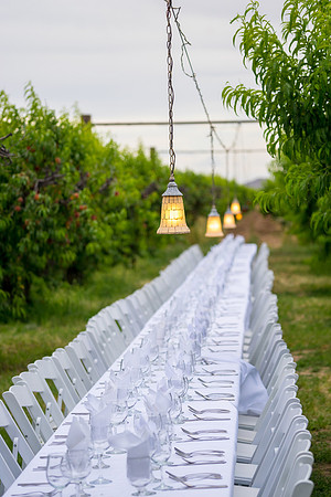 Schnepf Farms