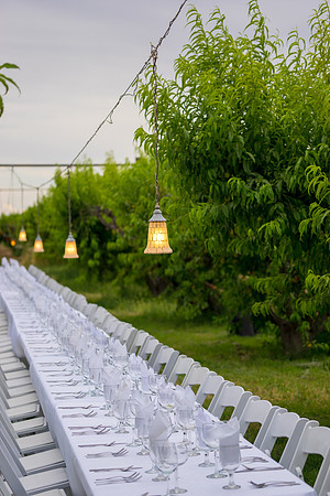 Schnepf Farms