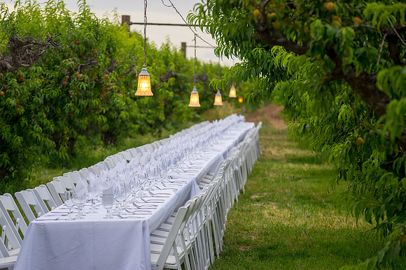 Schnepf Farms
