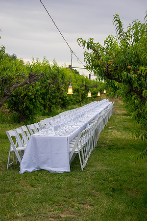 Schnepf Farms