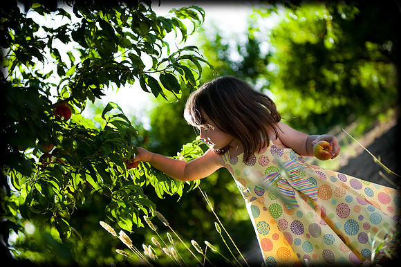 2010 Foskett Creative-392