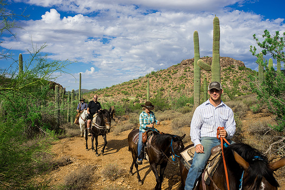 Spur Cross Stables-3-41