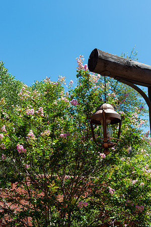 Foskett Creative Photography 2014-8-5-118