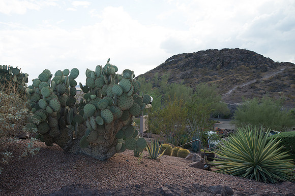 Foskett_September2014_image-1124