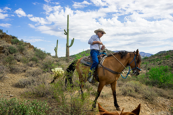 Spur Cross Stables-3-62