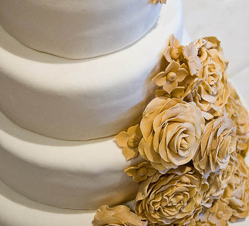 2011 Allison Wedding-3822