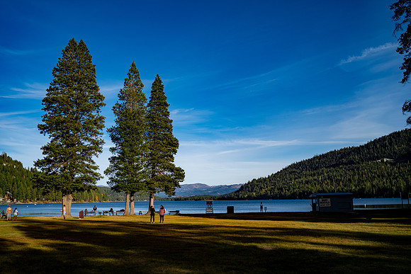 Foskett Creative 2024-4307