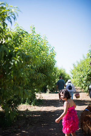 FoskettCreative.com-110