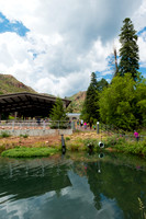 Tonto Creek Fish Hatchery-484
