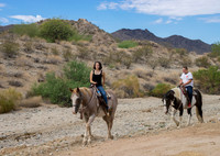 Ponderosa Stables-3