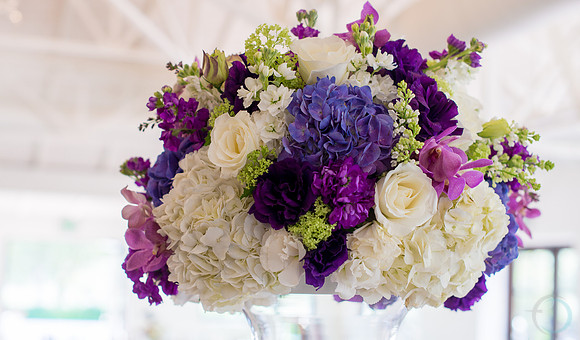 2012-12 FoskettCreative.com-180
