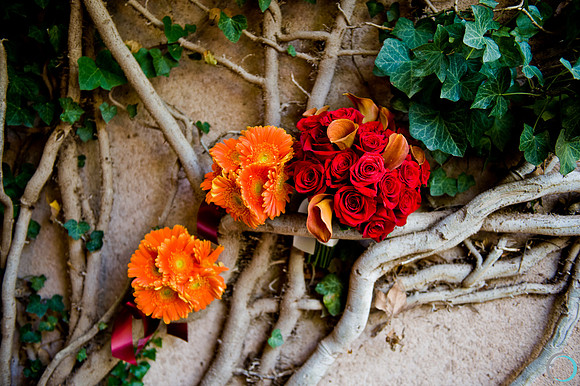 2011-8 Sedona-2771