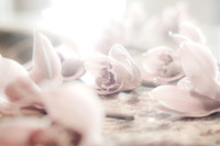2011 Allison Wedding-3659