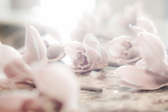 2011 Allison Wedding-3659