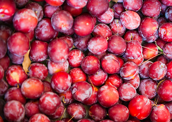 Schnepf Farms