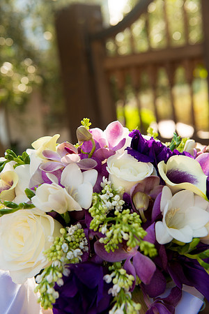 2012-12 FoskettCreative.com-1005