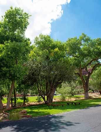 #Enchantment Resort #Encore Creative Weddings #WeddingKnoll  #FoskettCreative 201485-647