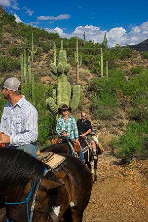 Spur Cross Stables-3-25