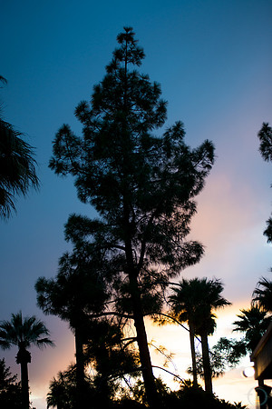 FoskettCreative.com-8045