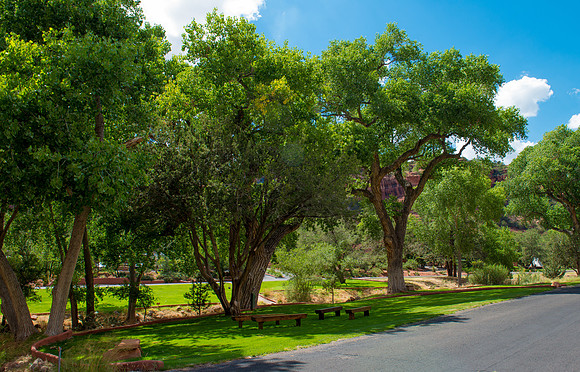 #Enchantment Resort #Encore Creative Weddings #WeddingKnoll  #FoskettCreative 201485-649