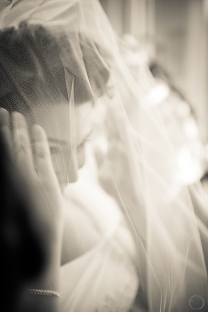 2012-12-8 FoskettCreative.com-435