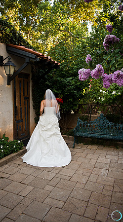 2011-8 Sedona-3874