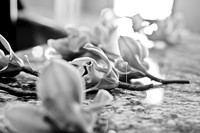 2011 Allison Wedding-3658