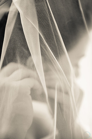 2012-12-8 FoskettCreative.com-419