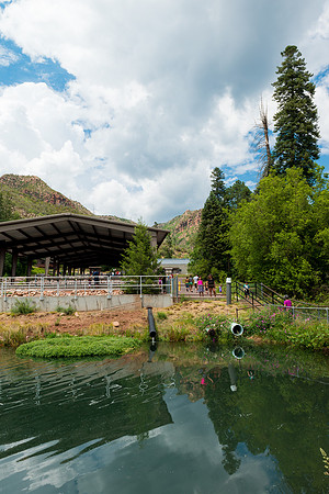 Tonto Creek Fish Hatchery-486