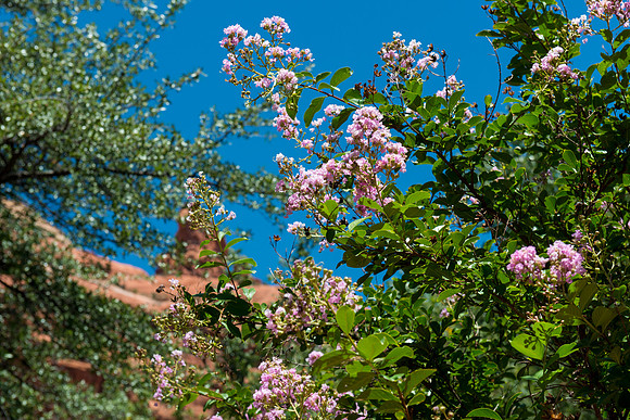 Foskett Creative Photography 2014-8-5-119