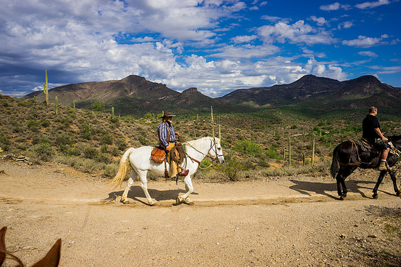 Spur Cross Stables-3-73