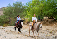 Ponderosa Stables-12
