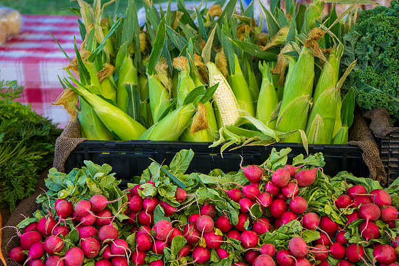 Uptown Farmers Market-143