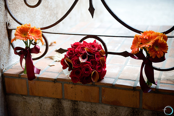 2011-8 Sedona-2780