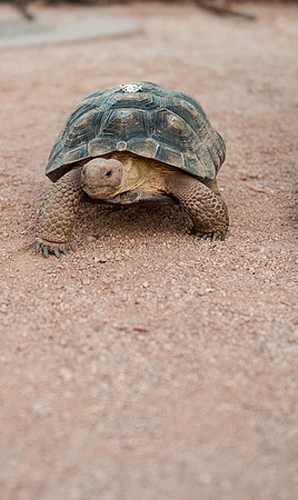 2012-6 -30 Foskettcreative -307