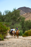 Ponderosa Stables-8