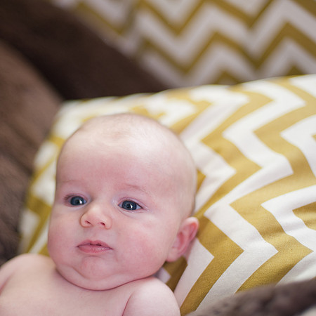 Foskett Creative Photography -199