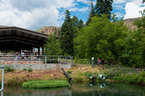 Tonto Creek Fish Hatchery-479