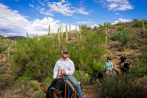 Spur Cross Stables-3-42
