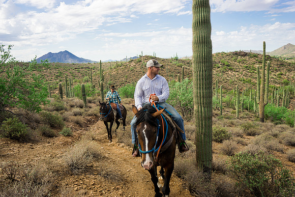 Spur Cross Stables-3-60