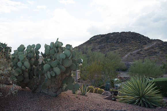 Foskett_September2014_image-1125