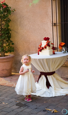2011-8 Sedona-5322